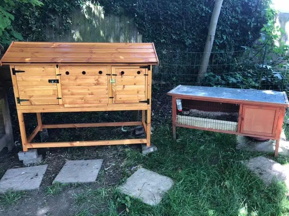 Beware Of Flat-pack, Cheap Rabbit Hutches!