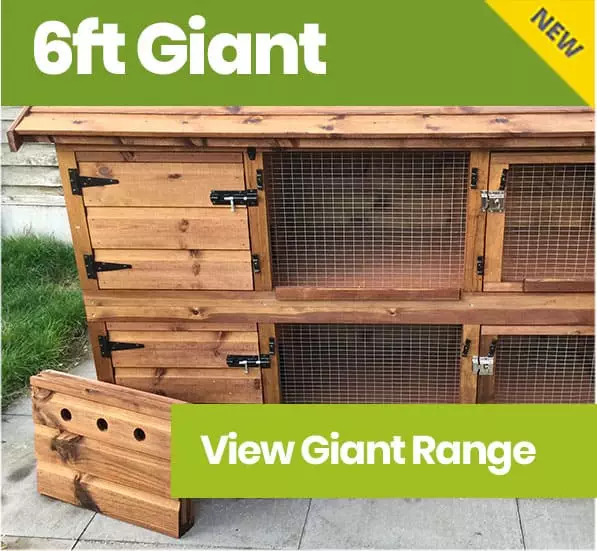 6ft Giant Rabbit Hutches